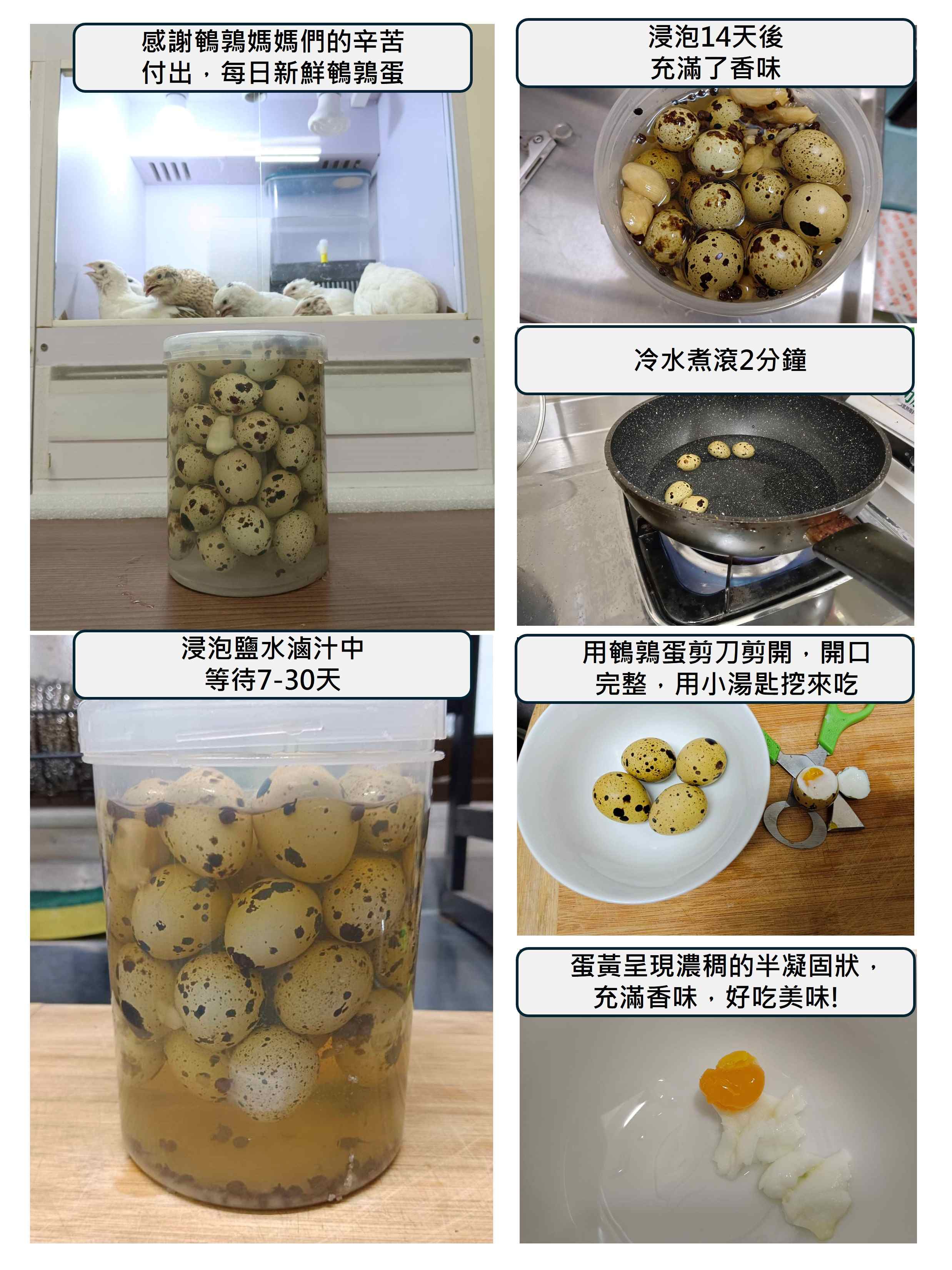 鵪鶉鹹蛋製作過程，展示了從收集新鮮鵪鶉蛋到製作出美味鹹蛋的各個步驟，包括浸泡、冷水煮蛋、剝殼及品嘗的過程。