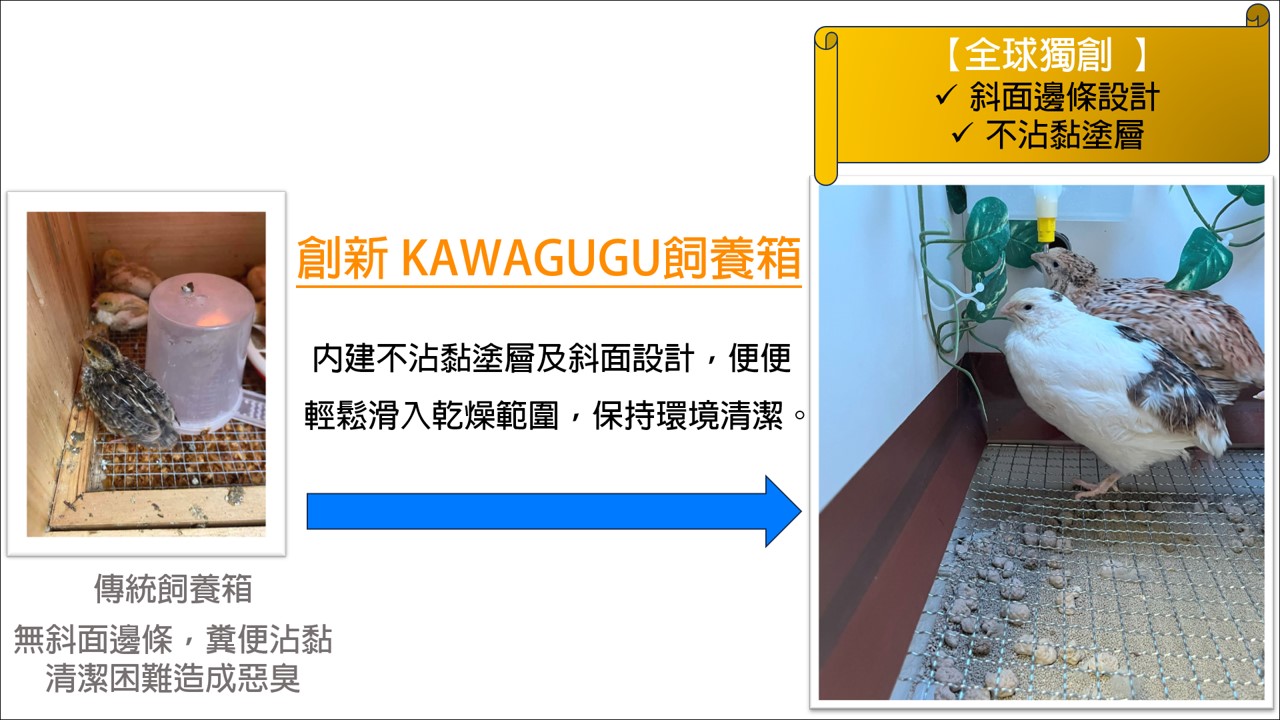 KAWAGUGU智慧鵪鶉飼養箱的不沾黏塗層與斜面邊條設計，防止糞便黏附，保持環境清潔。